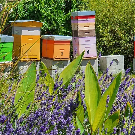 ゲストハウス Le Manoir D'a Cote