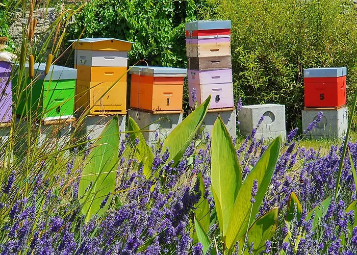 Guest house Le Manoir D'a Cote